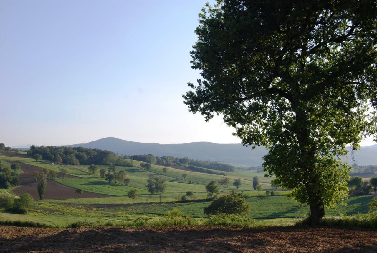 Bilocale Verde Umbria Montecastrilli Exteriör bild