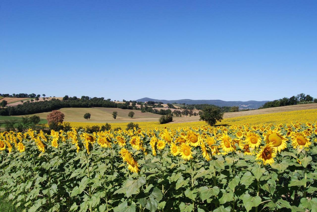 Bilocale Verde Umbria Montecastrilli Exteriör bild